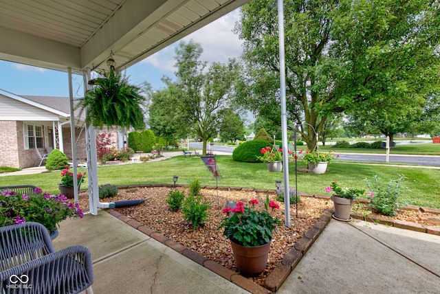 7911 Bentley Commons Dr, Indianapolis, IN 46259 - view of green lawn
