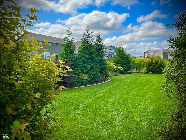 4281 Viewforth Ln, Bargersville, IN 46106 - view of green lawn with a residential view