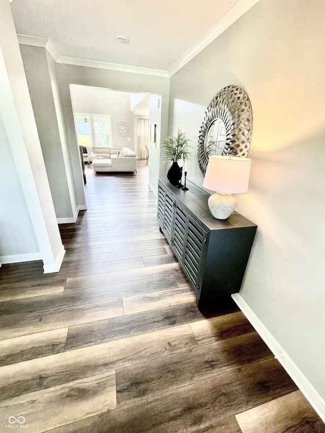 4281 Viewforth Ln, Bargersville, IN 46106 - corridor featuring ornamental molding and wood finished floors