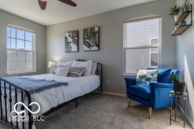 12584 Cold Stream Rd, Noblesville, IN 46060 - bedroom with carpet floors and a ceiling fan
