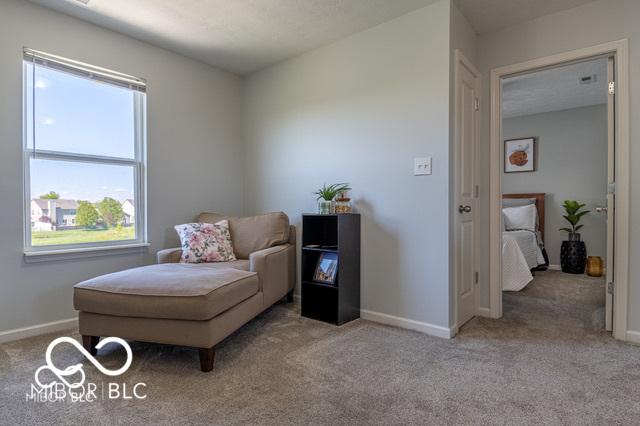 12584 Cold Stream Rd, Noblesville, IN 46060 - living area with carpet