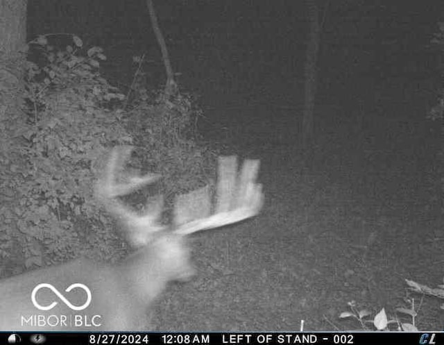 9168 S State Road 9, Flat Rock, IN 47234 - photo 73
