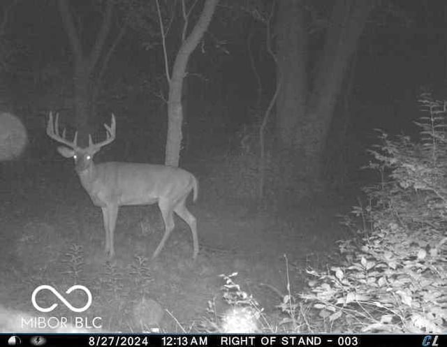9168 S State Road 9, Flat Rock, IN 47234 - photo 74