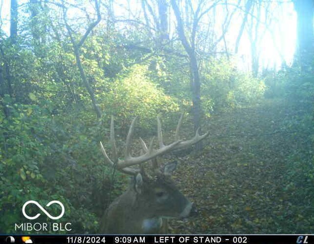 9168 S State Road 9, Flat Rock, IN 47234 - photo 76