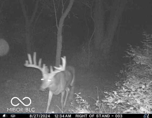 9168 S State Road 9, Flat Rock, IN 47234 - photo 75