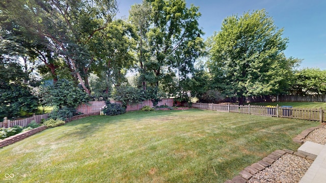 9831 Deering St, Fishers, IN 46037 - view of fenced backyard