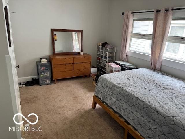 2830 Guilford Ave, Indianapolis, IN 46205 - bedroom featuring multiple windows and light colored carpet