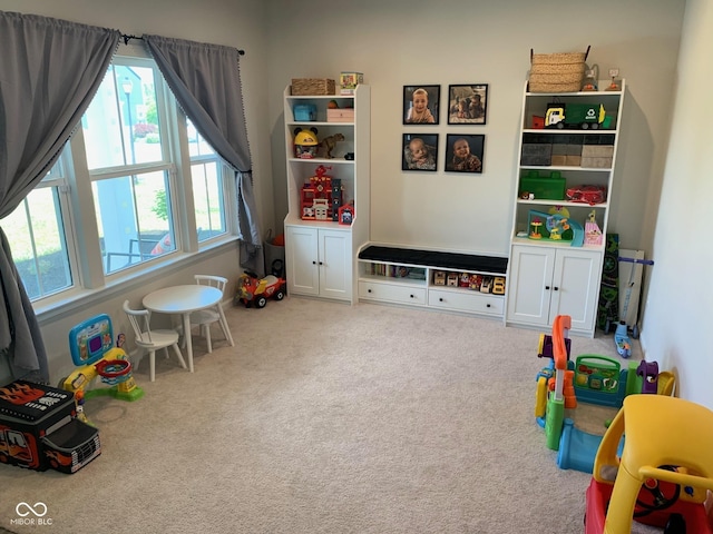 7270 W Stone Pass, New Palestine, IN 46163 - rec room with healthy amount of natural light and carpet floors