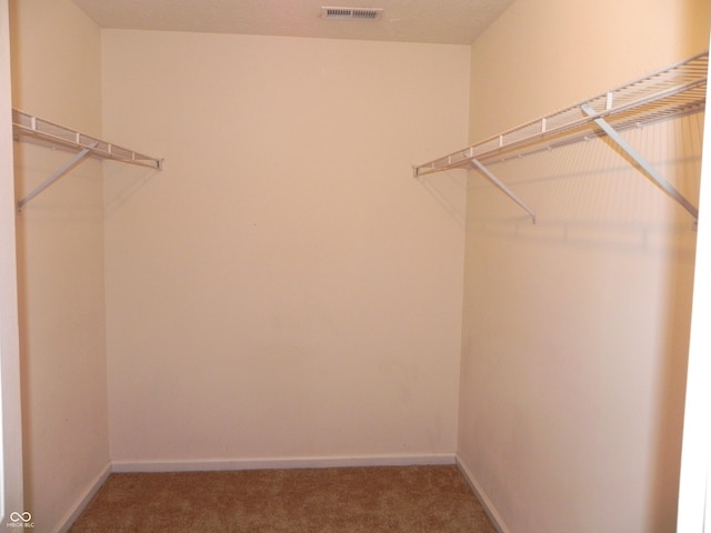 10178 Cornith Way, Avon, IN 46123 - spacious closet featuring carpet floors