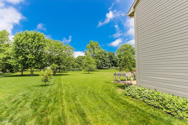 7710 Samuel Dr, Indianapolis, IN 46259 - view of green lawn featuring view of wooded area