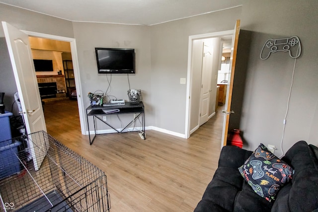 7710 Samuel Dr, Indianapolis, IN 46259 - living area featuring light wood finished floors and a fireplace