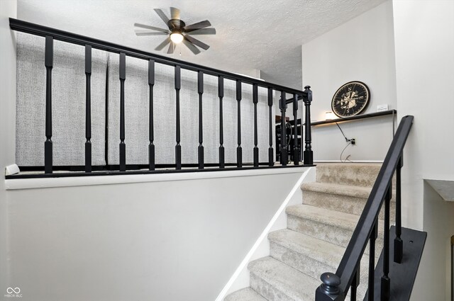 1103 Rosengarten Dr, Greenwood, IN 46142 - photo 5
