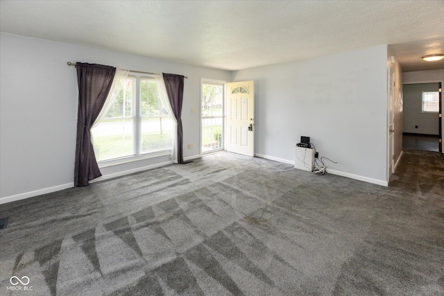 220 E Tilden Dr, Brownsburg, IN 46112 - carpeted empty room with healthy amount of natural light