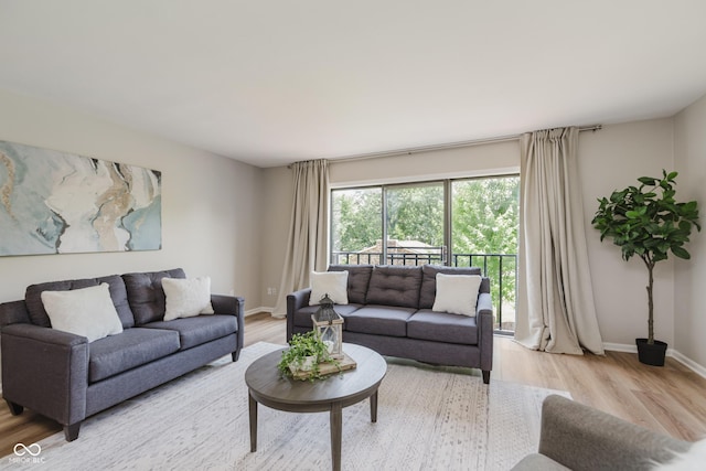 49 Druid Hill Ct Unit 0, Carmel, IN 46032 - living room with light wood finished floors