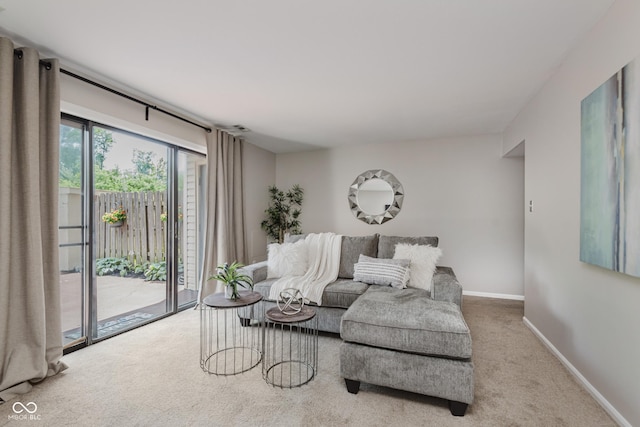 49 Druid Hill Ct Unit 0, Carmel, IN 46032 - living room featuring carpet floors and baseboards