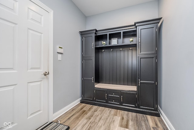 12634 Mustard Seed Ct, Fishers, IN 46038 - mudroom with light wood-type flooring