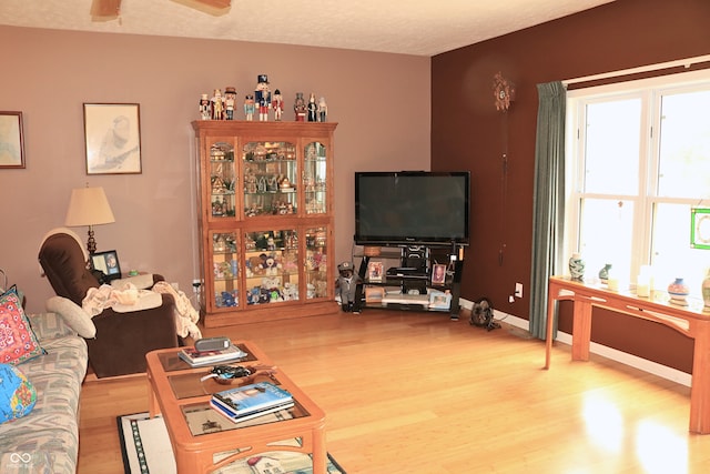 650 S Eagles Way, Crawfordsville, IN 47933 - living room with wood finished floors and a ceiling fan