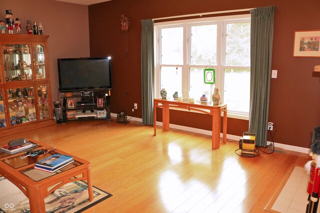 650 S Eagles Way, Crawfordsville, IN 47933 - living room featuring wood finished floors and baseboards
