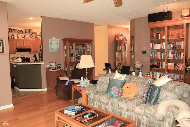 650 S Eagles Way, Crawfordsville, IN 47933 - living room with a ceiling fan, light wood-type flooring, and a textured ceiling