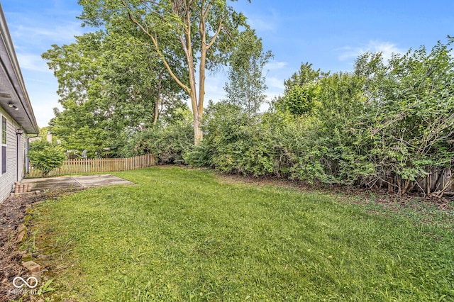 1540 Brook Pointe Dr, Indianapolis, IN 46234 - view of yard featuring a patio area