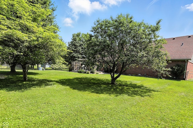 8030 5 Points Rd, Indianapolis, IN 46259 - view of green lawn