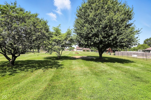 8030 5 Points Rd, Indianapolis, IN 46259 - view of yard