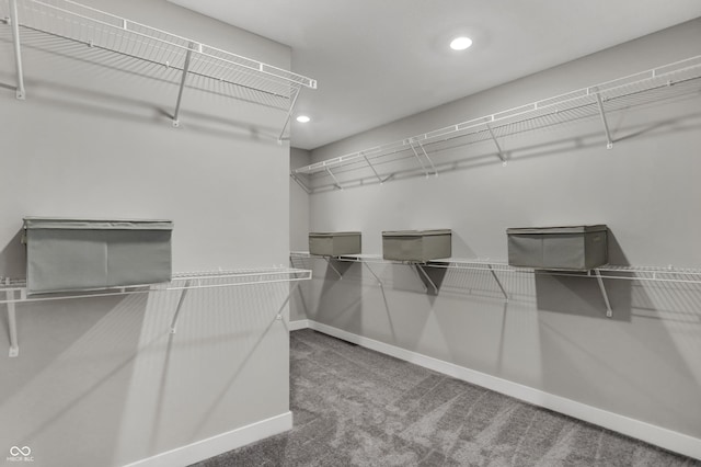 5343 Pelion Pl, Mccordsville, IN 46055 - walk in closet featuring carpet