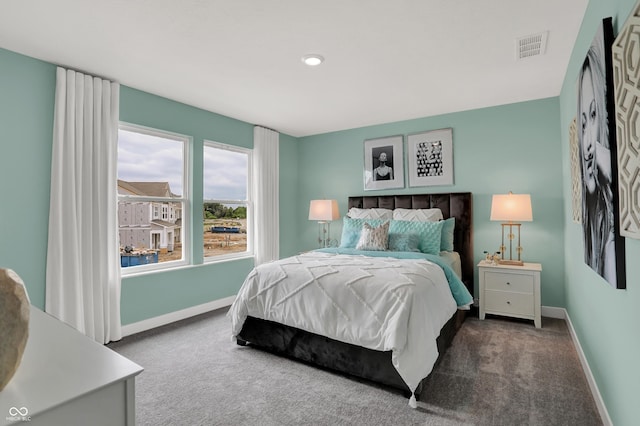 5343 Pelion Pl, Mccordsville, IN 46055 - bedroom with carpet flooring
