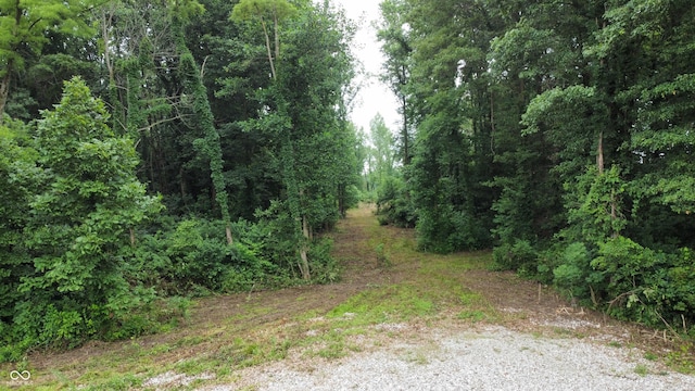 3247E850S Jonesville Rd, Columbus, IN 47201 - photo 6