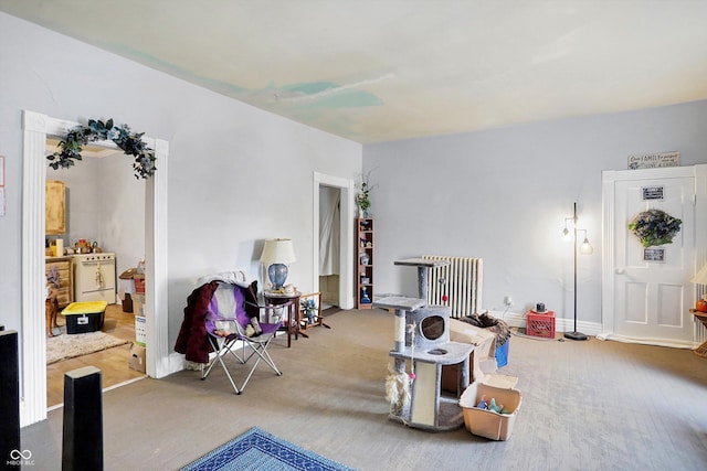 315 N High St, Hartford City, IN 47348 - living area featuring radiator and carpet floors