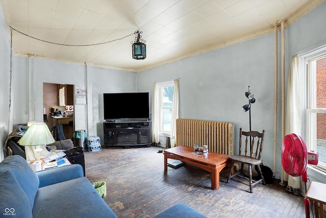 315 N High St, Hartford City, IN 47348 - living area featuring hardwood / wood-style flooring, ornamental molding, and radiator heating unit