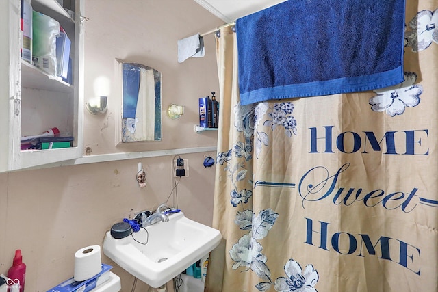 315 N High St, Hartford City, IN 47348 - bathroom with a sink and a shower with curtain