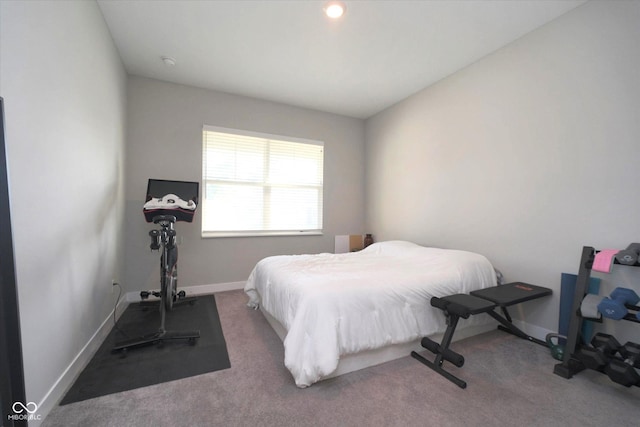 11663 Winnower, Noblesville, IN 46060 - bedroom featuring baseboards and carpet