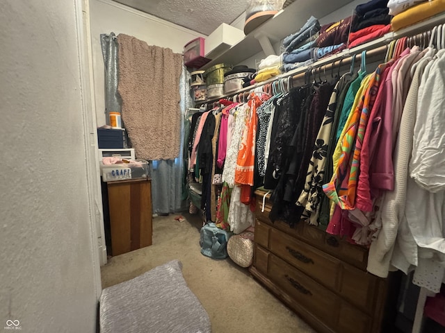 3733 Winthrop Ave, Indianapolis, IN 46205 - photo 28