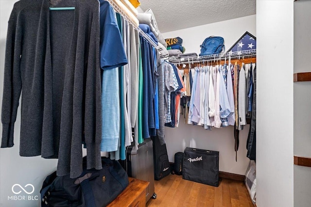770 Viewpoint Dr, Plainfield, IN 46168 - spacious closet featuring wood finished floors