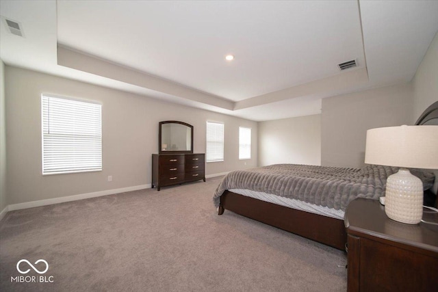3609 Merchmont Rd, Bargersville, IN 46106 - bedroom with a tray ceiling and carpet floors
