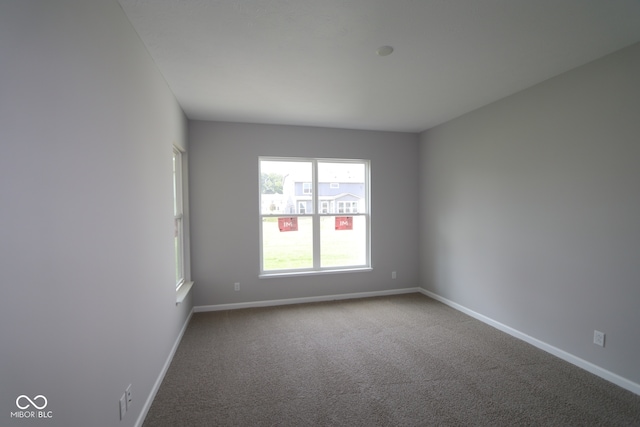 10602 Maidenhair Dr, Indianapolis, IN 46239 - spare room with baseboards and carpet flooring