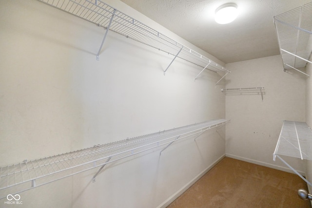 6670 Shooting Star Dr, Whitestown, IN 46075 - spacious closet featuring carpet flooring