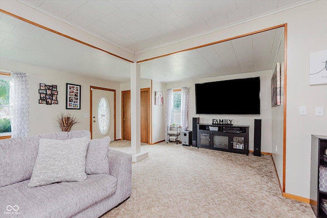 216 N Clinton St, Boswell, IN 47921 - living area featuring carpet and crown molding