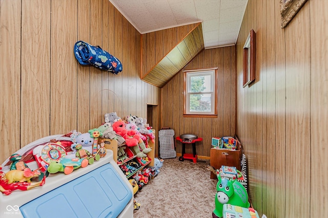 216 N Clinton St, Boswell, IN 47921 - recreation room with carpet flooring and wooden walls