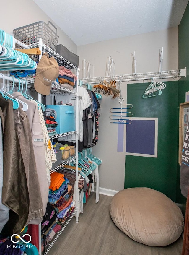 6532 Amherst Way, Zionsville, IN 46077 - spacious closet featuring wood finished floors