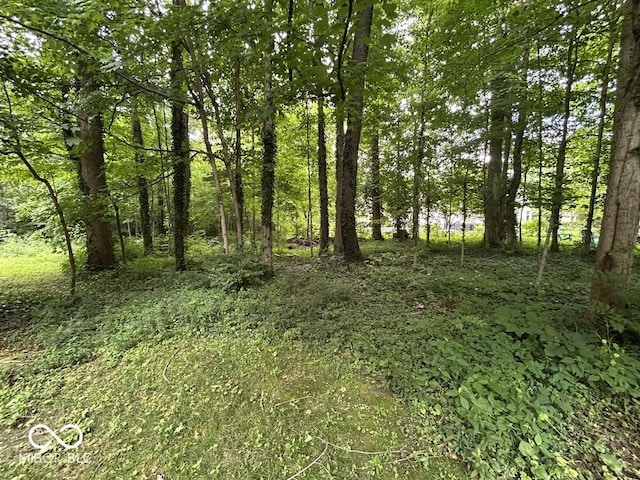 8407 Campbell Ct, Mooresville, IN 46158 - view of nature