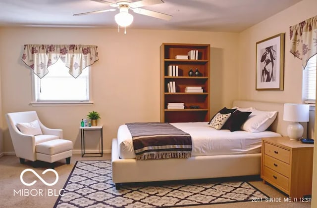 8905 Maze Rd, Indianapolis, IN 46259 - bedroom with multiple windows