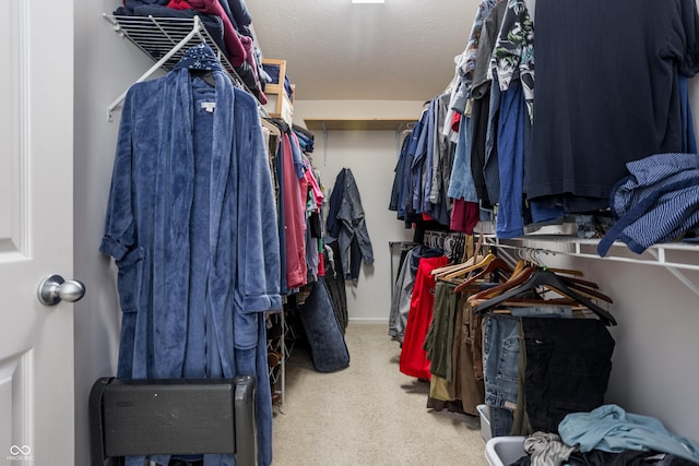 1521 Midnight Pass, Brownsburg, IN 46112 - spacious closet featuring carpet floors