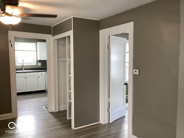 360 Laclede St, Indianapolis, IN 46241 - hall with dark wood-style flooring and a textured ceiling