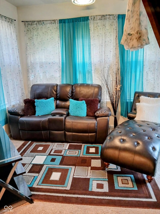 8333 Pine Branch Ln, Indianapolis, IN 46234 - view of living area