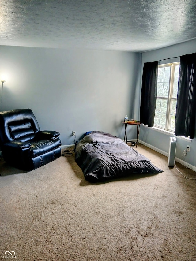 8333 Pine Branch Ln, Indianapolis, IN 46234 - bedroom with carpet and a textured ceiling