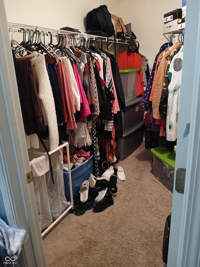 8333 Pine Branch Ln, Indianapolis, IN 46234 - walk in closet featuring carpet floors