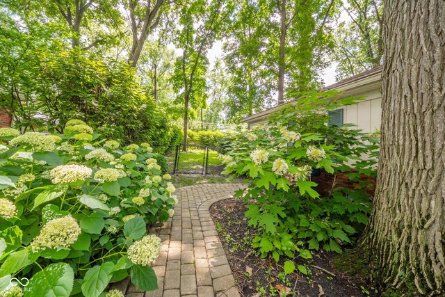 2613 W Queensbury Rd, Muncie, IN 47304 - view of yard