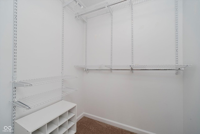 16629 Greensboro Dr, Westfield, IN 46074 - walk in closet featuring carpet flooring